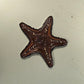 A brown, starfish-shaped Chocolate Starfish Ball Marker from Ballmarkers.com, featuring decorative surface patterns, rests on a plain light-colored background—making it an ideal beach-themed golf accessory for any coastal golf collection.