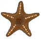 The Chocolate Starfish Ball Marker by Ballmarkers.com displays a five-armed brown starfish with cream-colored dots along each arm and short dark lines in the central area, set against a white background—making it an ideal coastal-themed golf accessory for those looking for a distinctive beach-inspired ball marker.