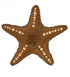 The Chocolate Starfish Ball Marker by Ballmarkers.com displays a five-armed brown starfish with cream-colored dots along each arm and short dark lines in the central area, set against a white background—making it an ideal coastal-themed golf accessory for those looking for a distinctive beach-inspired ball marker.