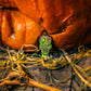 The Pins and Aces Mutant Zombie - Ball Marker, in bright green, sits among yarn and twigs beneath a large orange jack-o’-lantern’s mouth, creating a spooky Halloween vibe.