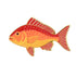 Illustration of a red snapper fish with vivid fins and pointed tail on white—perfect as Logie Joe&