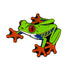 Illustration of a bright green Tree Frog Ball Marker by Ballmarkers.com, featuring large red eyes, blue and yellow side markings, and orange feet, viewed from above on a white background.