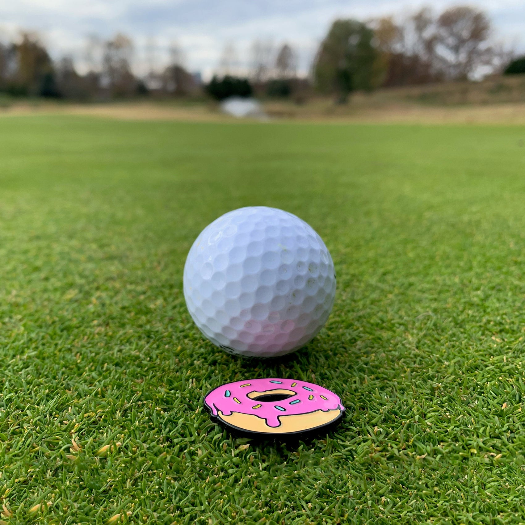 A golf ball rests on green grass beside a Kolorspun Birds Aren't Real Golf Ball Marker, a small pink frosted magnetic marker with sprinkles, on a tree-dotted golf course under a cloudy sky.